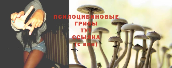 mix Армянск